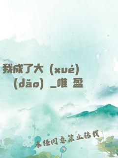 我成了大學(xué)輔導(dǎo)員