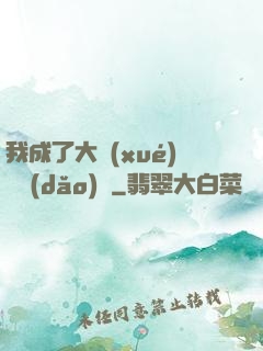 我成了大學(xué)輔導(dǎo)員