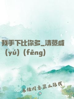 我手下比你多