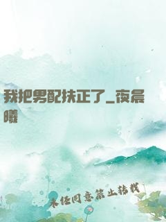 我把男配扶正了