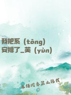 我把系統(tǒng)安排了