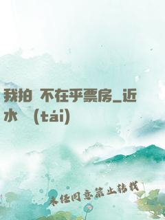 我拍戲不在乎票房