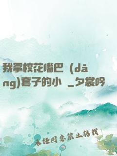 我拿?；ㄗ彀彤?dāng)套子的小說