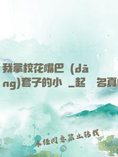 我拿?；ㄗ彀彤?dāng)套子的小說