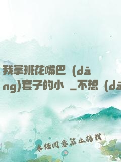 我拿班花嘴巴當(dāng)套子的小說