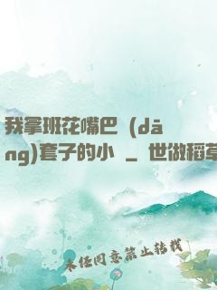 我拿班花嘴巴當(dāng)套子的小說
