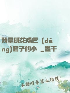 我拿班花嘴巴當(dāng)套子的小說