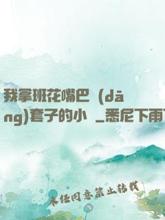我拿班花嘴巴當(dāng)套子的小說