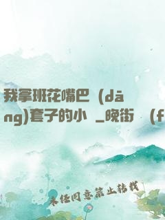 我拿班花嘴巴當(dāng)套子的小說