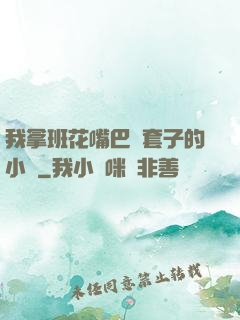 我拿班花嘴巴當套子的小說