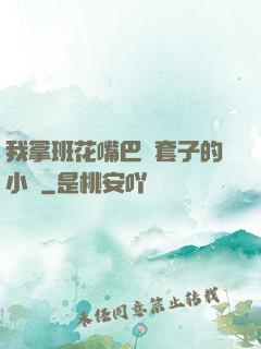 我拿班花嘴巴當套子的小說