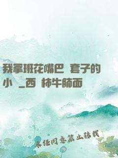 我拿班花嘴巴當套子的小說