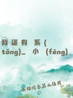 我掛逼擁有兩個系統(tǒng)