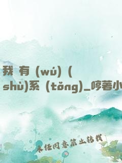 我擁有無(wú)數(shù)系統(tǒng)