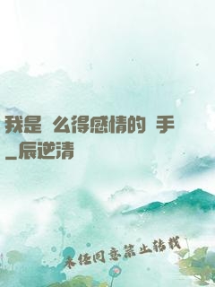 我是個么得感情的殺手