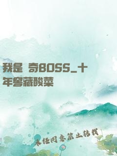 我是傳奇BOSS