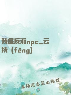 我是反派npc