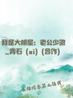 我是大明星：老公少傲嬌