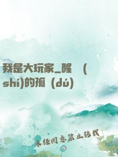 我是大玩家