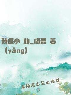 我是小輔助