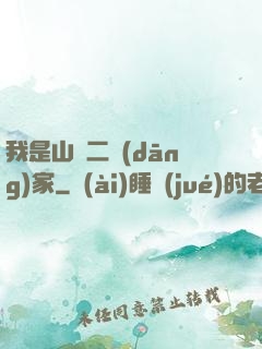 我是山賊二當(dāng)家