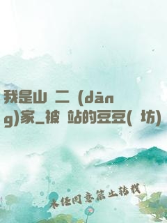 我是山賊二當(dāng)家