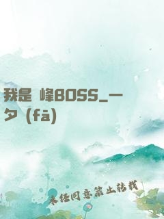 我是巔峰BOSS