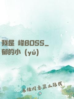 我是巔峰BOSS