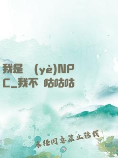 我是職業(yè)NPC
