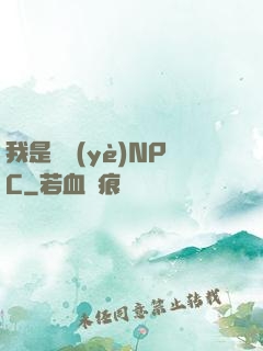 我是職業(yè)NPC