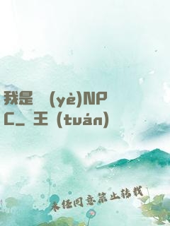 我是職業(yè)NPC