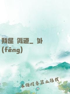 我是賈似道