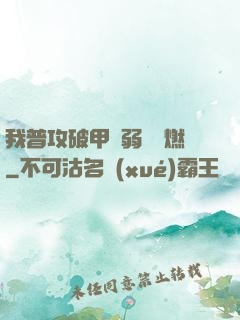 我普攻破甲虛弱帶點燃