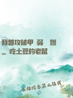 我普攻破甲虛弱帶點燃