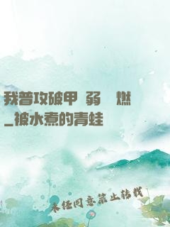 我普攻破甲虛弱帶點燃