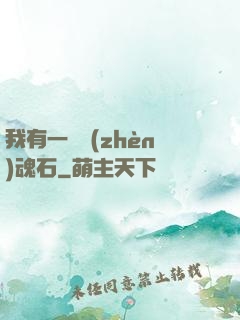 我有一塊鎮(zhèn)魂石