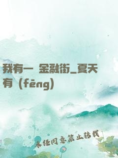 我有一條金融街