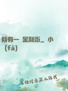 我有一條金融街
