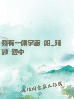我有一艘宇宙飛船