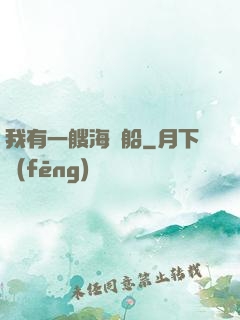 我有一艘海盜船