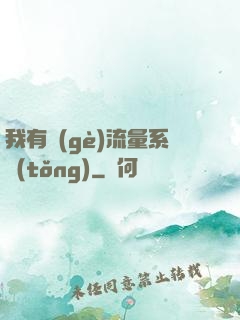 我有個(gè)流量系統(tǒng)