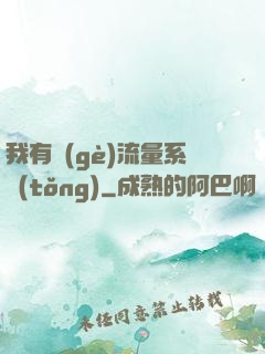 我有個(gè)流量系統(tǒng)