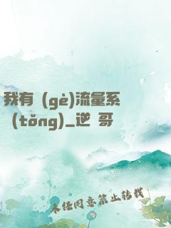 我有個(gè)流量系統(tǒng)