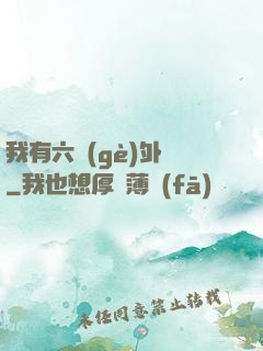 我有六個(gè)外掛