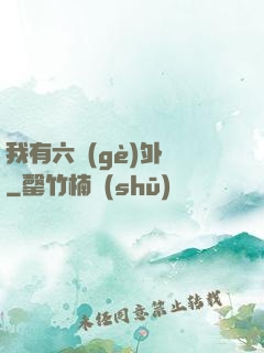 我有六個(gè)外掛