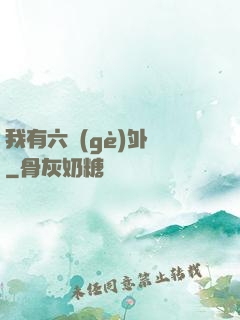 我有六個(gè)外掛