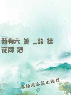 我有六個外掛