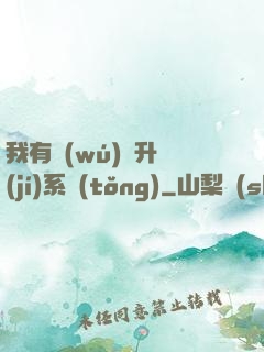我有無(wú)敵升級(jí)系統(tǒng)
