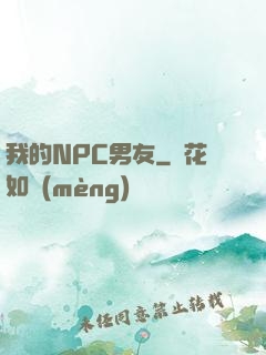 我的NPC男友