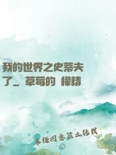 我的世界之史蒂夫無敵了